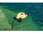   Cygnus Mini ROV Mountable