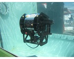   Cygnus ROV Mountable